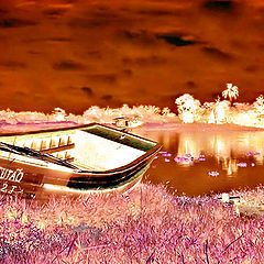 photo "An old boat"