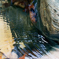 photo "Water Reflection (Towards the end)"