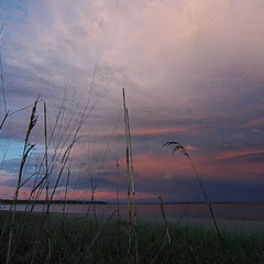 photo "Stormy end"