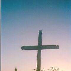 фото "The Cross"