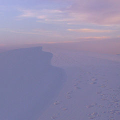 photo "Footprints in a Dream"