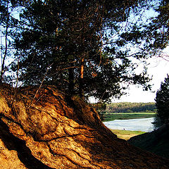 photo "Exit from Forest"