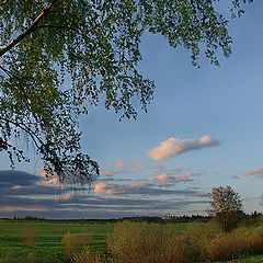 фото "Свет заката"