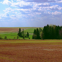 фото "Красное поле"