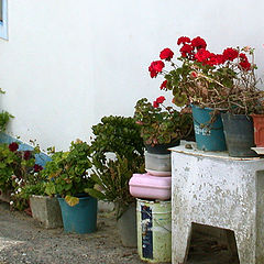 photo "Rural House of the village"