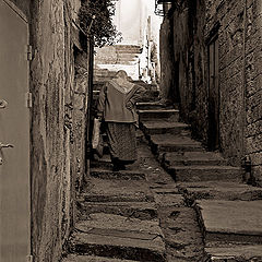 photo "Stairs of life..."