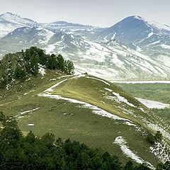 photo "Spring is not behind the mountains..."