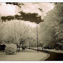 photo "Ribera-Logro&#241;o"