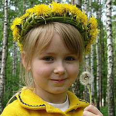 фото "Одуваньчики"
