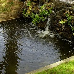 photo "Estoril garden II"