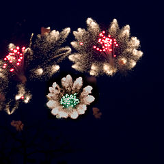 photo "Bouquet favourite city."