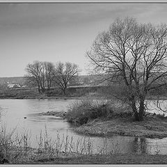 photo "When the winter has receded"