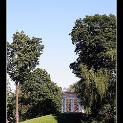 photo "Ostankino. In park"