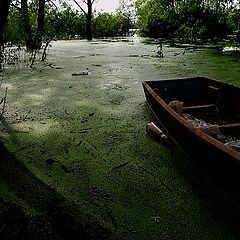 фото "Смеркалось"