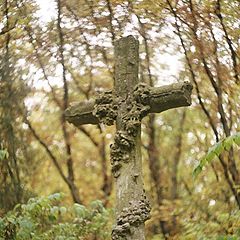 photo "At the old cemetery"