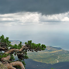 photo "On edge..."