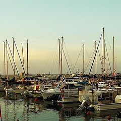 photo "In Jaffa port"