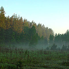 photo "Mornig mist"