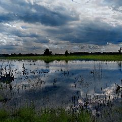 фото "Смеркалось не на шутку"