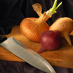 photo "Onion"