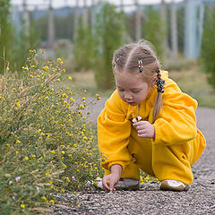 photo "One floret, two floret"