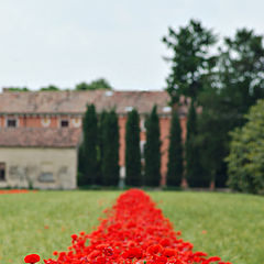 photo "Red road"