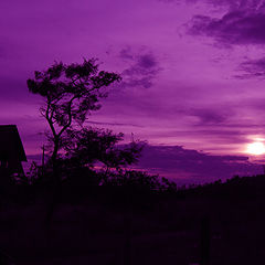 фото "purple sunset"