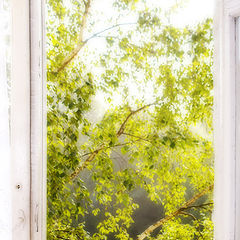 photo "***"