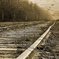 photo "Old way"