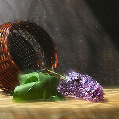 photo "Lilac in morning light"