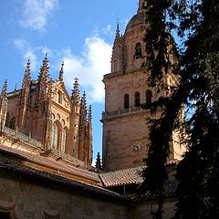 фото "Salamanca 3"