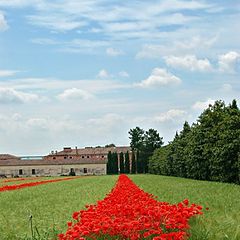 фото "Red highways (another view)"