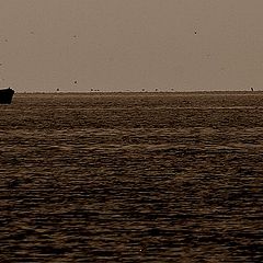 фото "Boat"