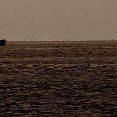 photo "Boat"