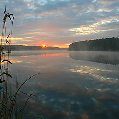 фото "Первый луч(III)"