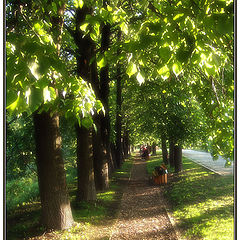 фото "Прогулки"