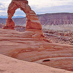 фото "Crow viewing Delicate Arch"