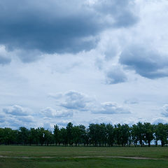 фото "Перед грозой"