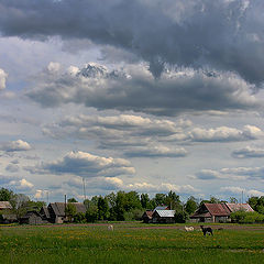 фото "Про деревню (2)"