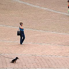 photo "Siena, Campo"