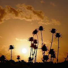 photo "Dancing at the Sunset  -  Танцующие на закате."