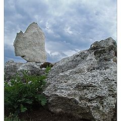 фото "Каменная рыба"