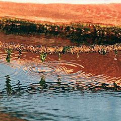 фотоальбом "Water Reflections"