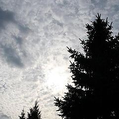 photo "***"