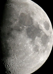 photo "The moon"