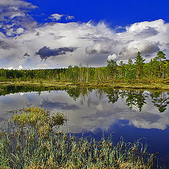 photo "One of corners of the immense Native land - 2"