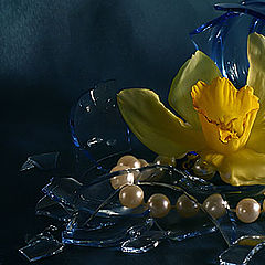 photo "about beauty of the broken hearts"