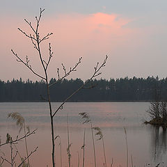 photo "Sunset on lake"