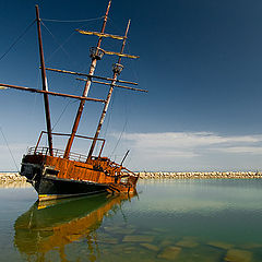 photo "The Fleet of Spring"