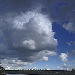 photo "Clouds"